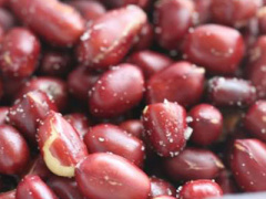 Ảnh bìa bài viết 295291