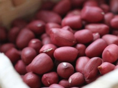 Ảnh bìa bài viết 295330