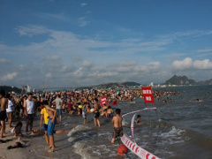 Post cover 295524