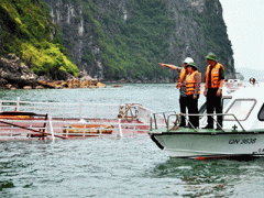 Ảnh bìa bài viết 295710