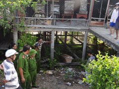 Ảnh bìa bài viết 295909