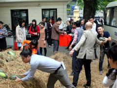 Ảnh bìa bài viết 296027