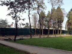 Ảnh bìa bài viết 296380