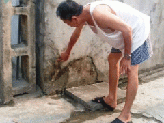 Ảnh bìa bài viết 296382
