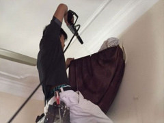 Ảnh bìa bài viết 296437