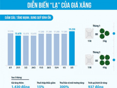 Ảnh bìa bài viết 296546