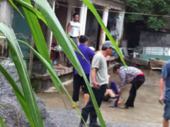Ảnh bìa bài viết 296451