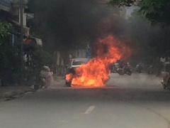 Ảnh bìa bài viết 296539