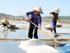 Ảnh bìa bài viết 296716