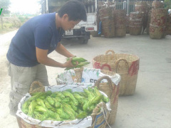 Ảnh bìa bài viết 296711