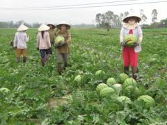 Ảnh bìa bài viết 296641
