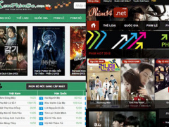 Ảnh bìa bài viết 296799