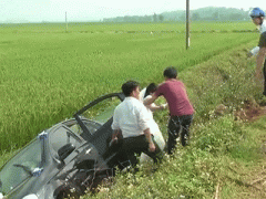 Ảnh bìa bài viết 296814