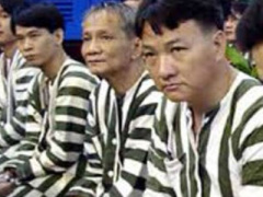 Ảnh bìa bài viết 296937