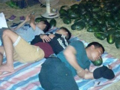 Ảnh bìa bài viết 297058