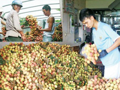 Ảnh bìa bài viết 297193