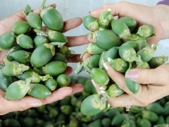 Ảnh bìa bài viết 297519