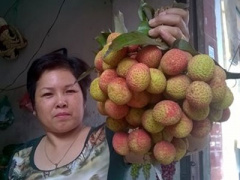 Ảnh bìa bài viết 297382