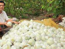 Ảnh bìa bài viết 297481