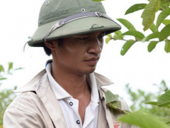 Ảnh bìa bài viết 297389