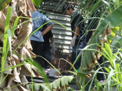 Ảnh bìa bài viết 297674