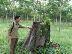 Ảnh bìa bài viết 297965