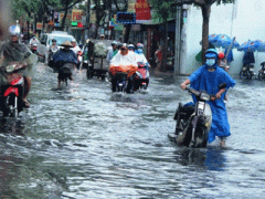 Ảnh bìa bài viết 298018