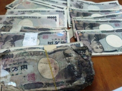 Ảnh bìa bài viết 297951