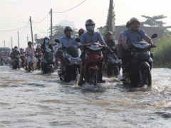 Ảnh bìa bài viết 298135
