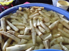 Ảnh bìa bài viết 298138