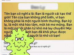 Ảnh bìa bài viết 298492