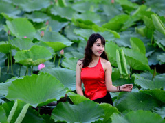 Ảnh bìa bài viết 298426