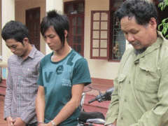 Ảnh bìa bài viết 298689