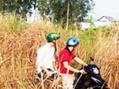 Ảnh bìa bài viết 298553