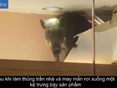 Ảnh bìa bài viết 298591
