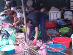 Ảnh bìa bài viết 298766