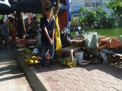 Ảnh bìa bài viết 299035
