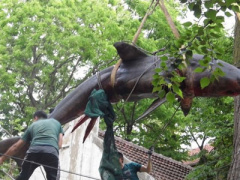 Ảnh bìa bài viết 298930