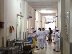 Ảnh bìa bài viết 298978