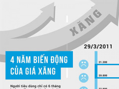 Ảnh bìa bài viết 298888