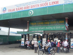 Ảnh bìa bài viết 299026