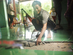 Ảnh bìa bài viết 299064
