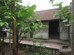 Ảnh bìa bài viết 299227
