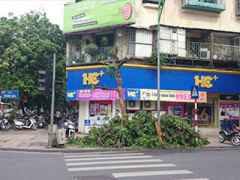 Ảnh bìa bài viết 299436
