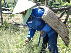 Ảnh bìa bài viết 299631
