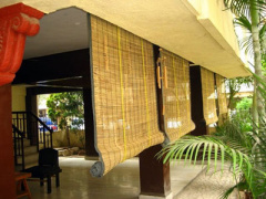 Ảnh bìa bài viết 300125