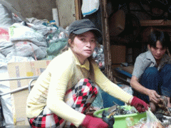 Ảnh bìa bài viết 300198