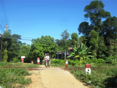 Ảnh bìa bài viết 300166