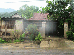 Ảnh bìa bài viết 300283
