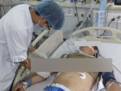 Ảnh bìa bài viết 300484